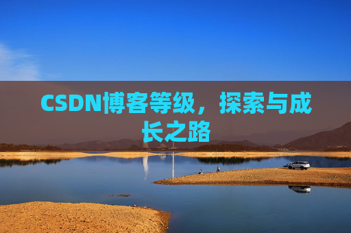 CSDN博客等级,探索与成长之路